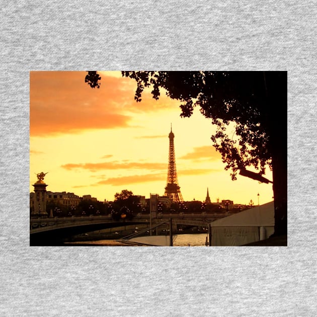 A Paris  walk at sunset by stevepaint